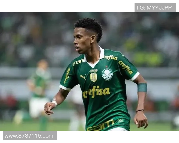 马雷斯卡谈澳波遗憾未能取胜表示理解称结果对所有人都一样