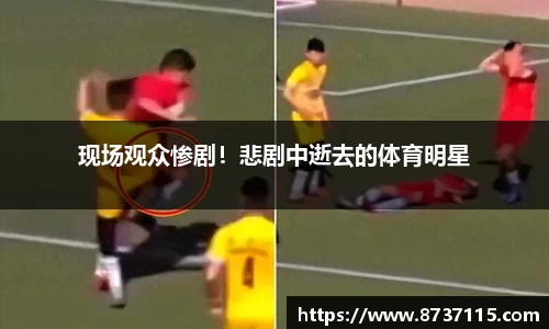 现场观众惨剧！悲剧中逝去的体育明星